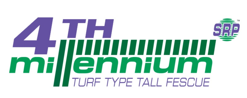 4th Millennium Tall Fescue