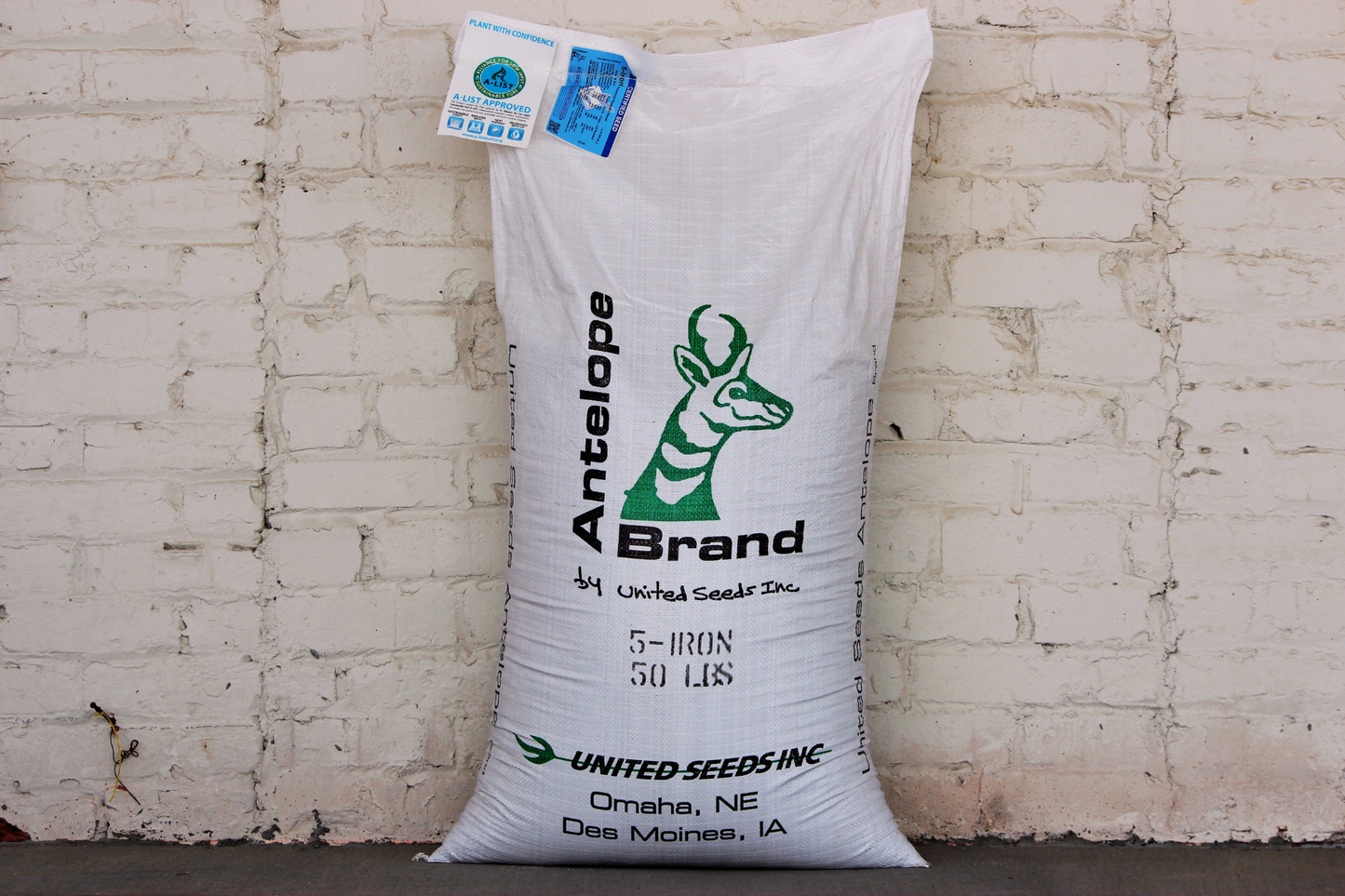 5-Iron Perennial Ryegrass Blend