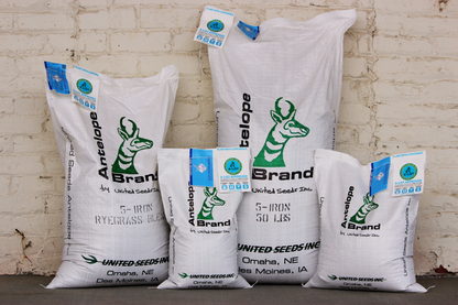 5-Iron Perennial Ryegrass Blend