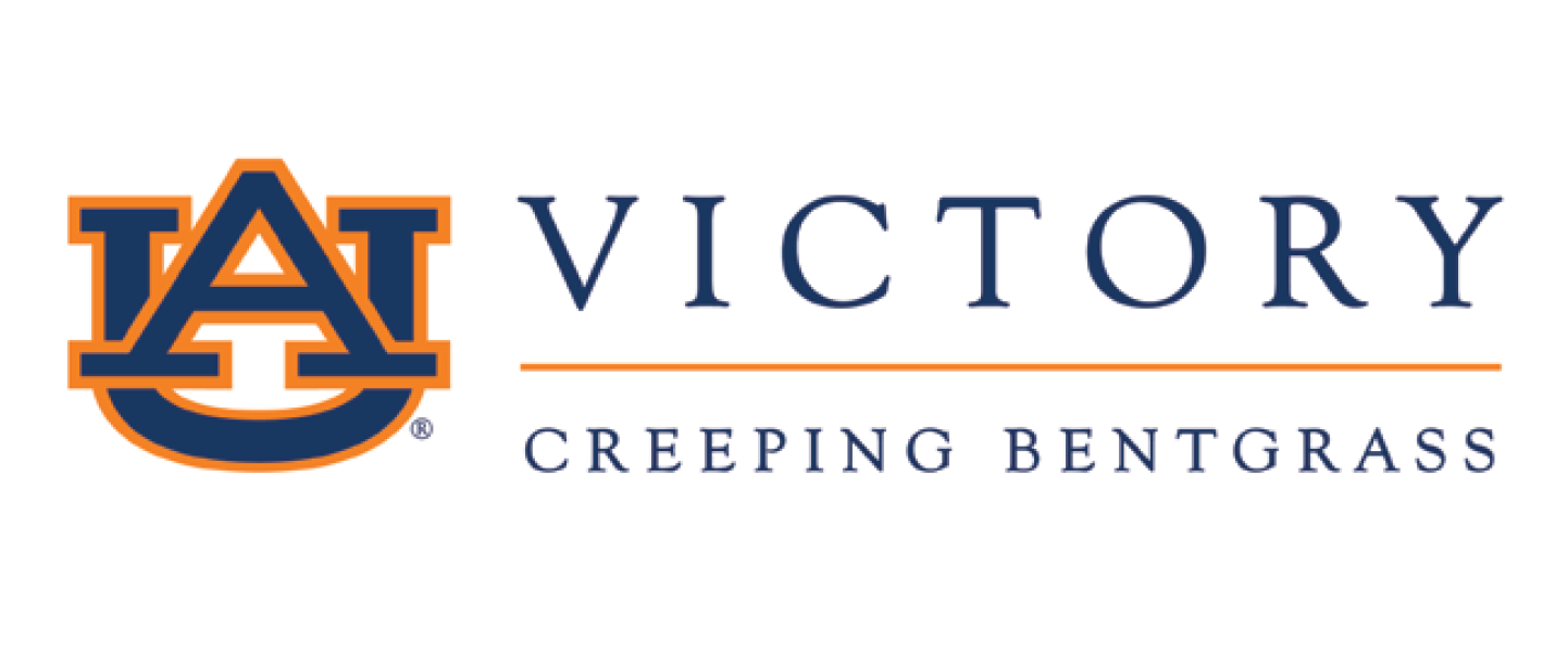 AU Victory Creeping Bentgrass