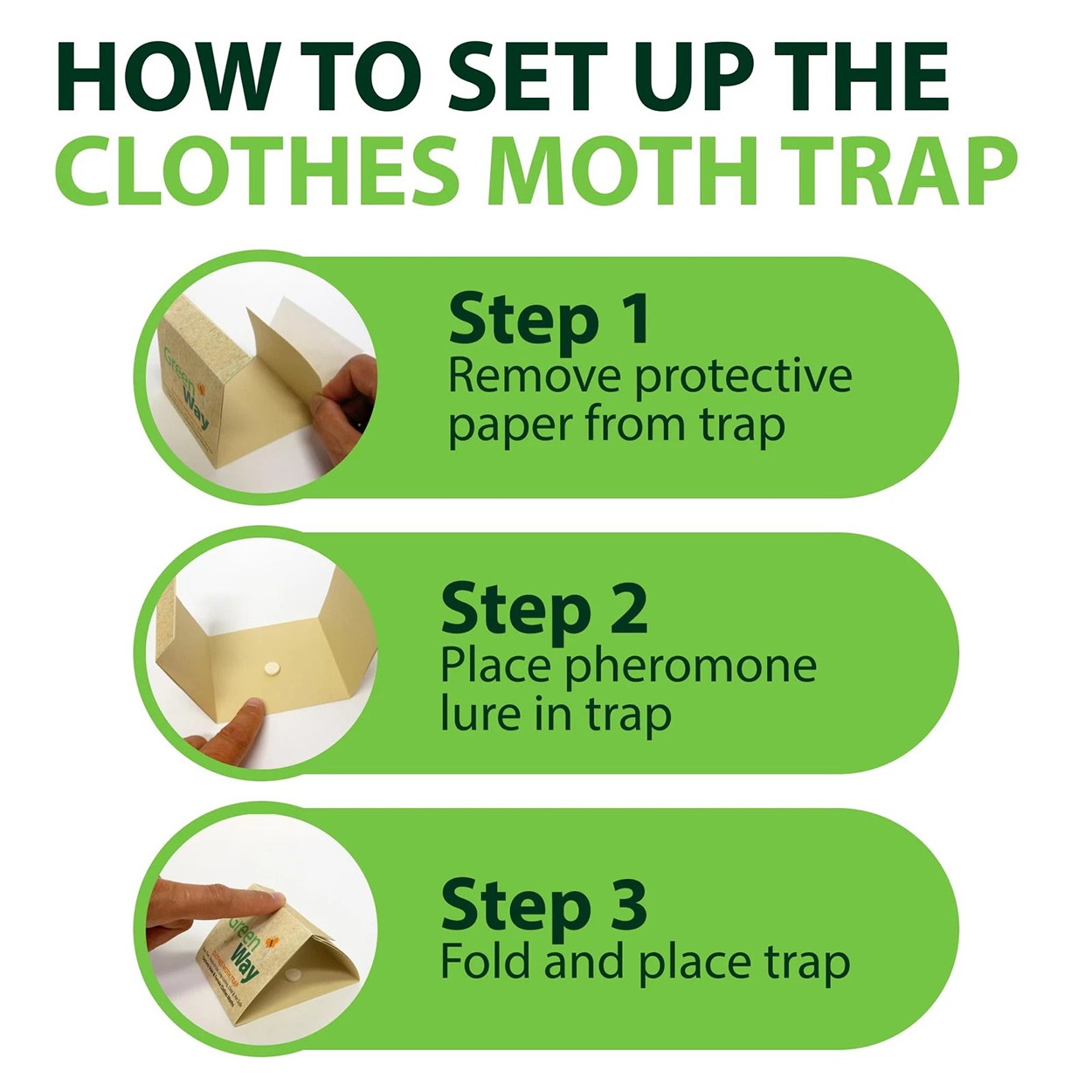 Clothes Moth Trap