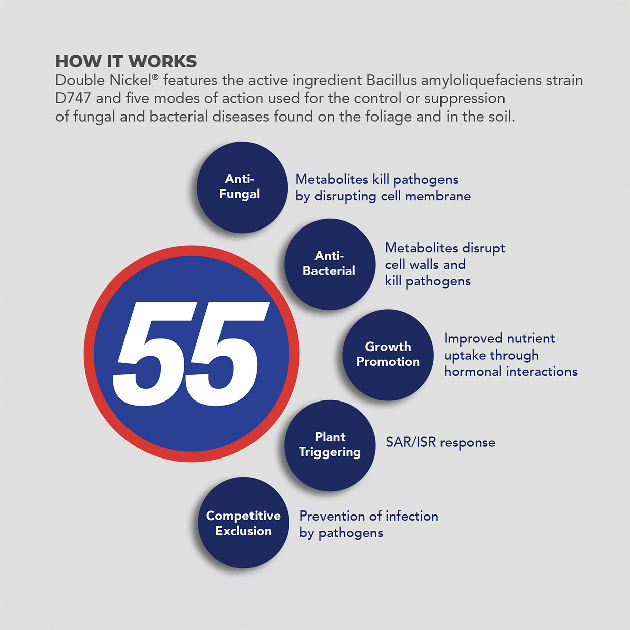 Double Nickel 55 Biofungicide