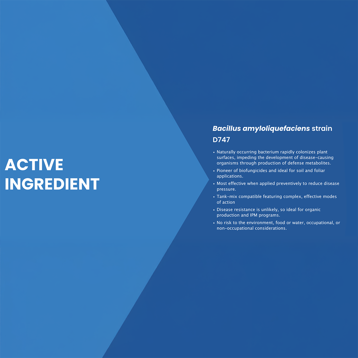 Double Nickel 55 Biofungicide