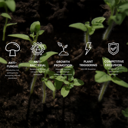 Double Nickel 55 Biofungicide