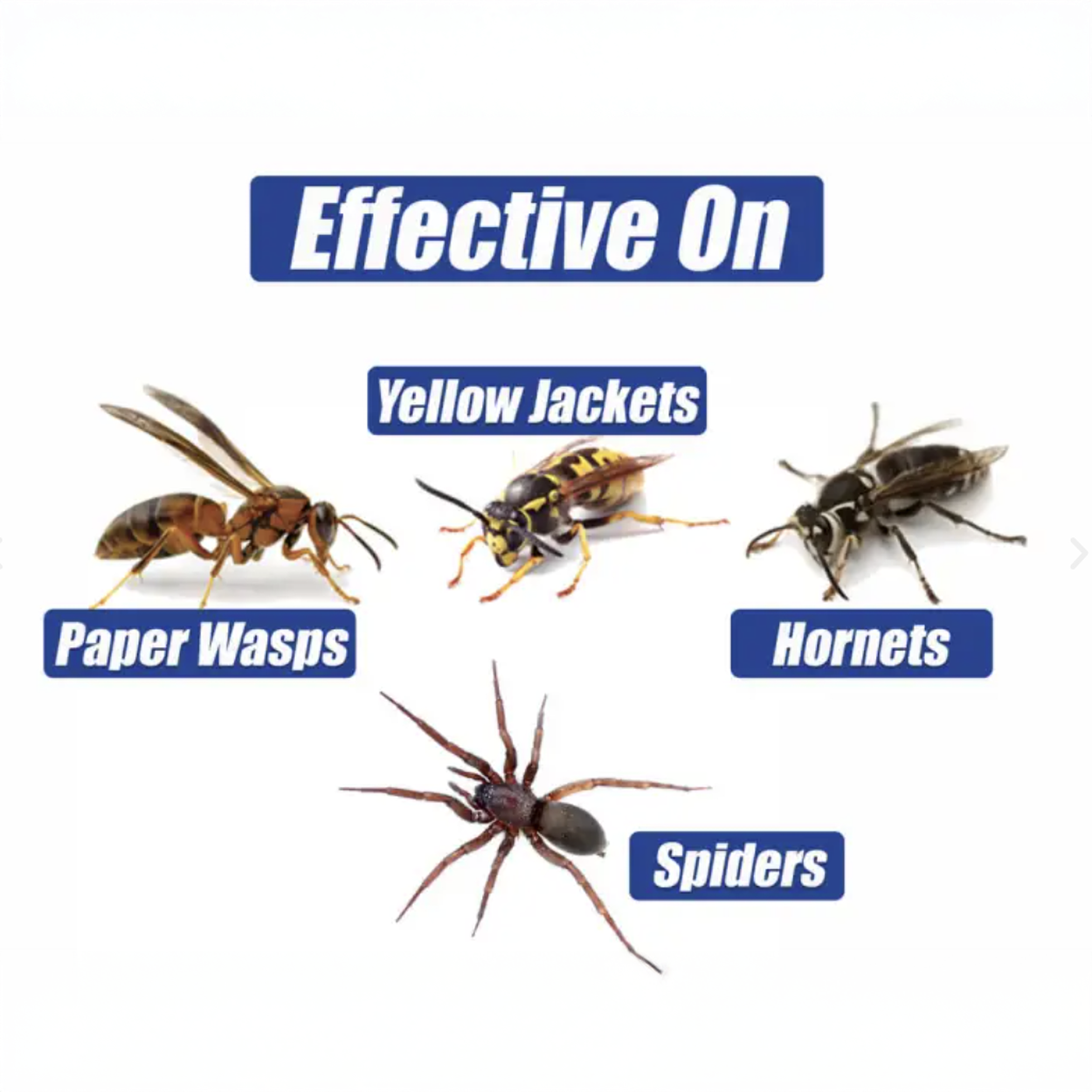 EcoVia WH Stinging Insect Killer