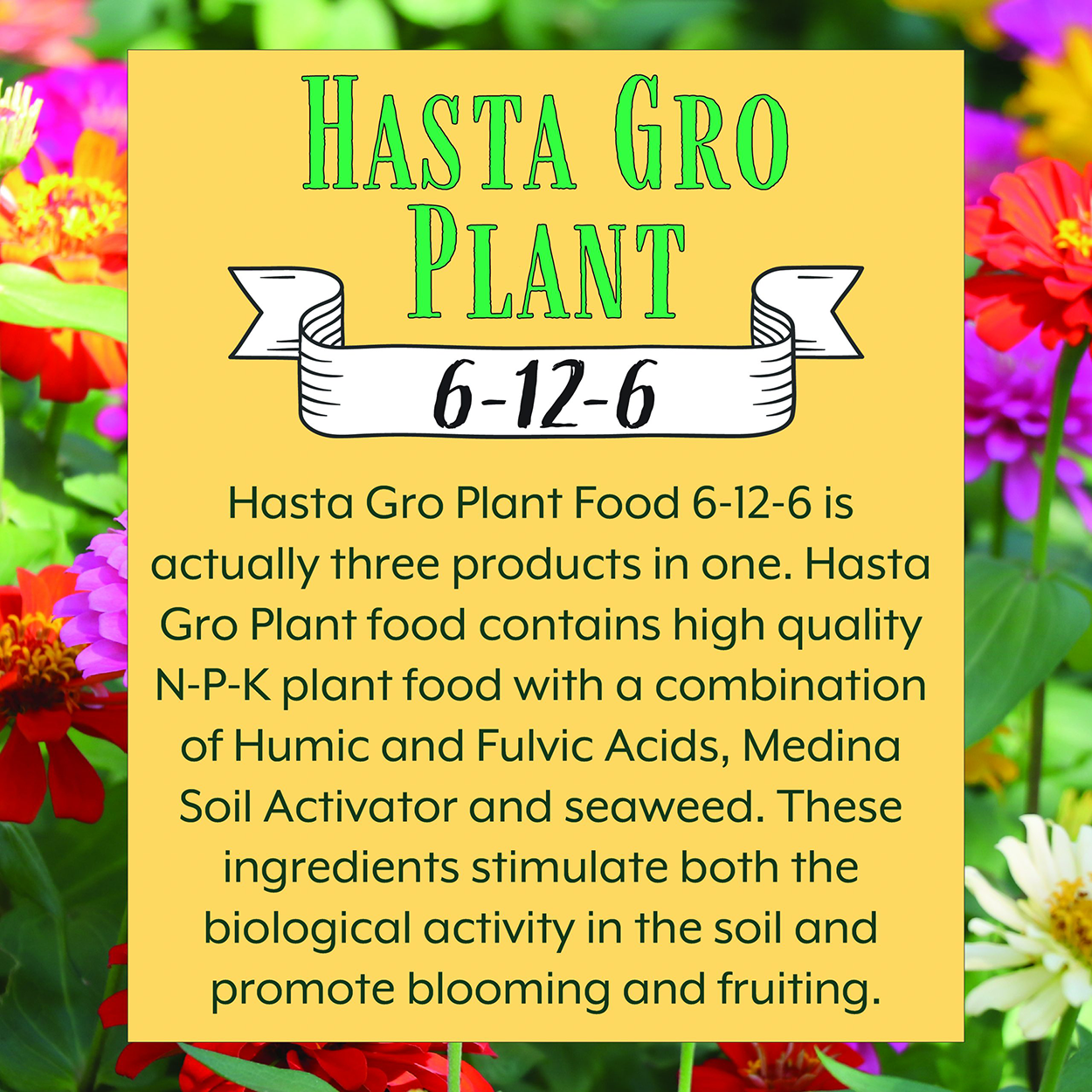 HastaGro Plant Food 6-12-6