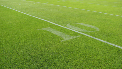 5-Iron Perennial Ryegrass Blend