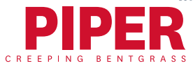 Piper Creeping Bentgrass
