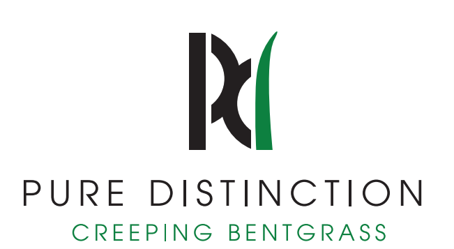 Pure Distinction Creeping Bentgrass