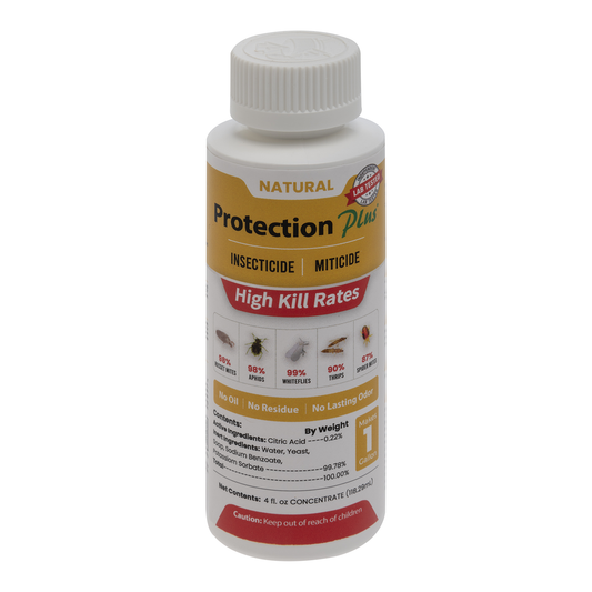 Protection Plus Insecticide