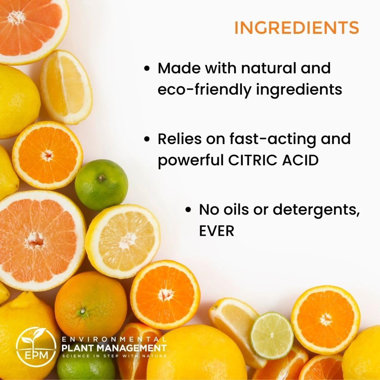 Protection Plus Insecticide