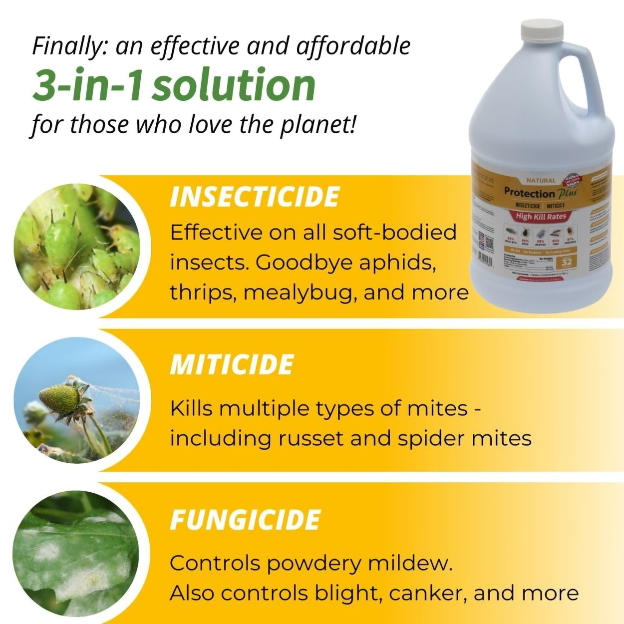 Protection Plus Insecticide
