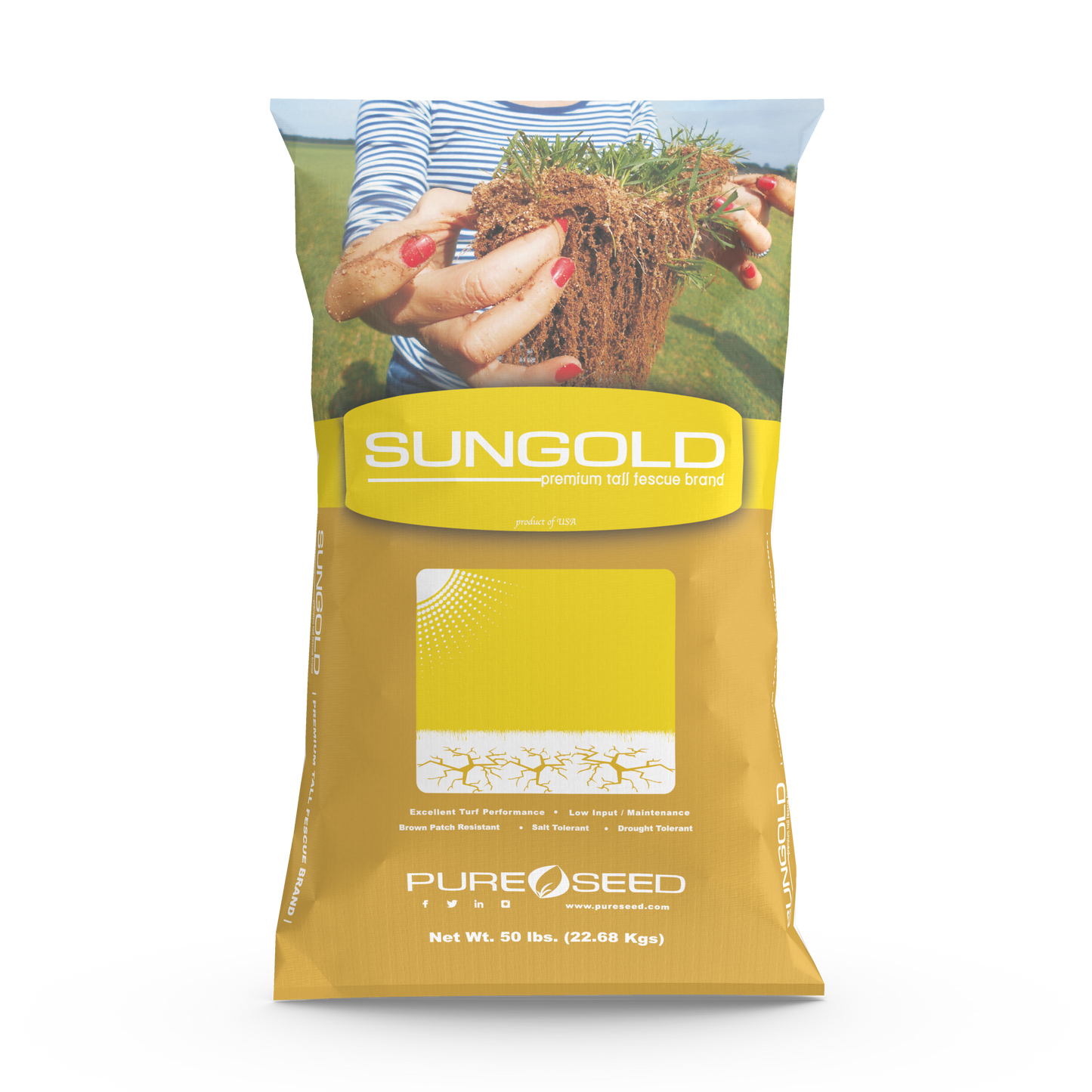 Sungold Tall Fescue Blend