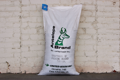 Snap Back Tall Fescue Blend