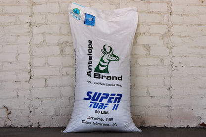 Super Turf II LS Tall Fescue-Bluegrass Blend