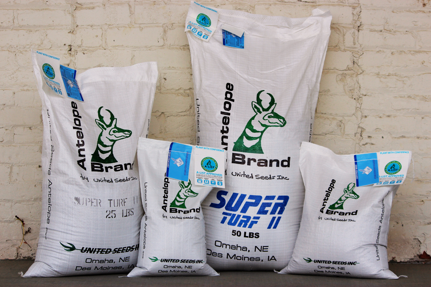 Super Turf II LS Tall Fescue-Bluegrass Blend