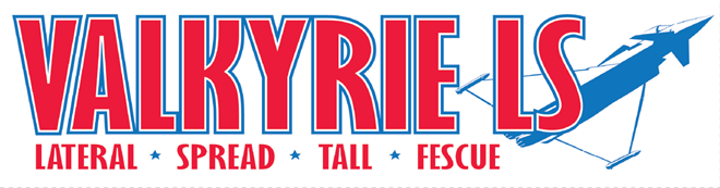 Valkyrie LS Tall Fescue