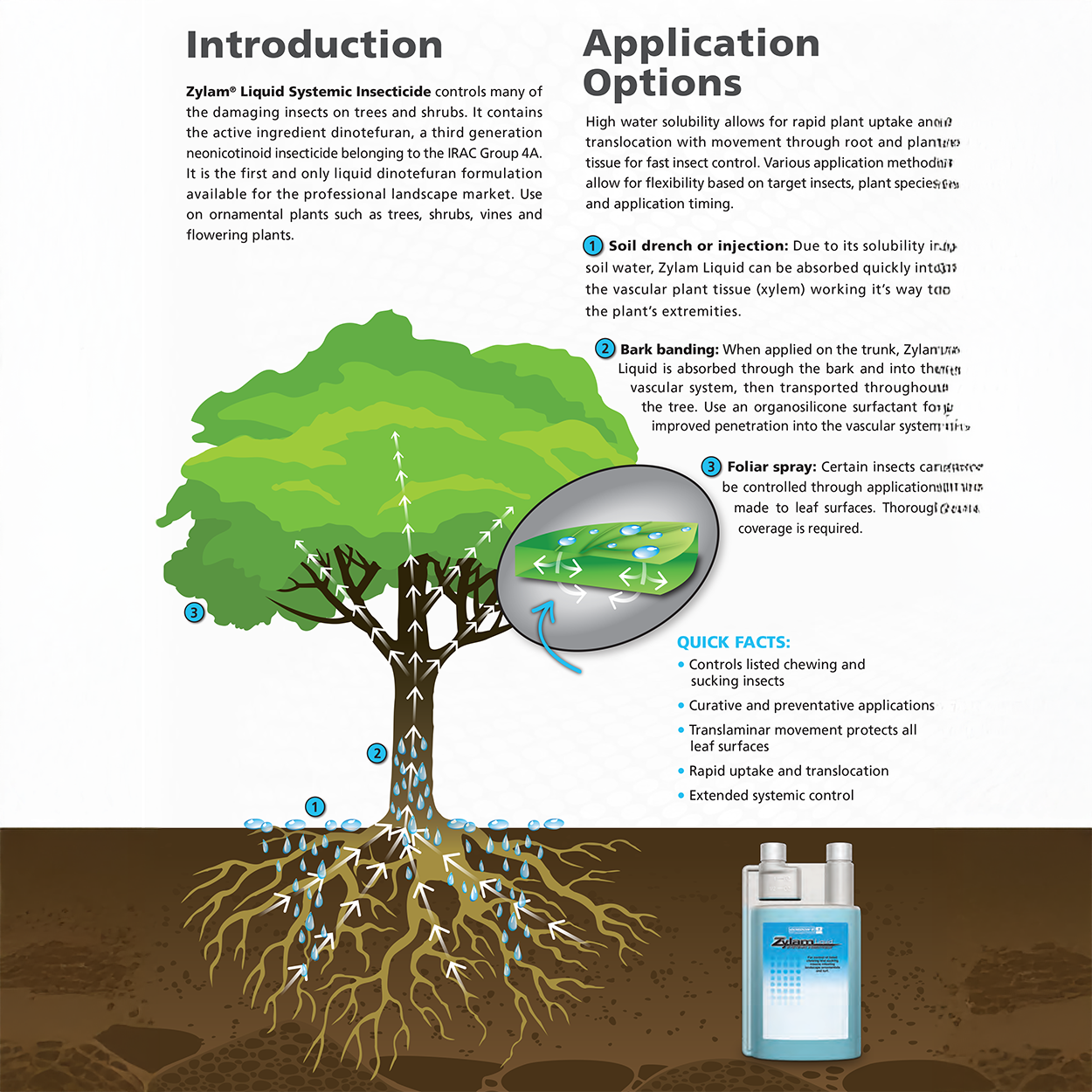 Zylam Liquid Systemic Insecticide