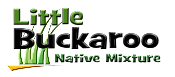 Little Buckaroo Native Mixture