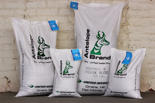 Snap Back Tall Fescue Blend