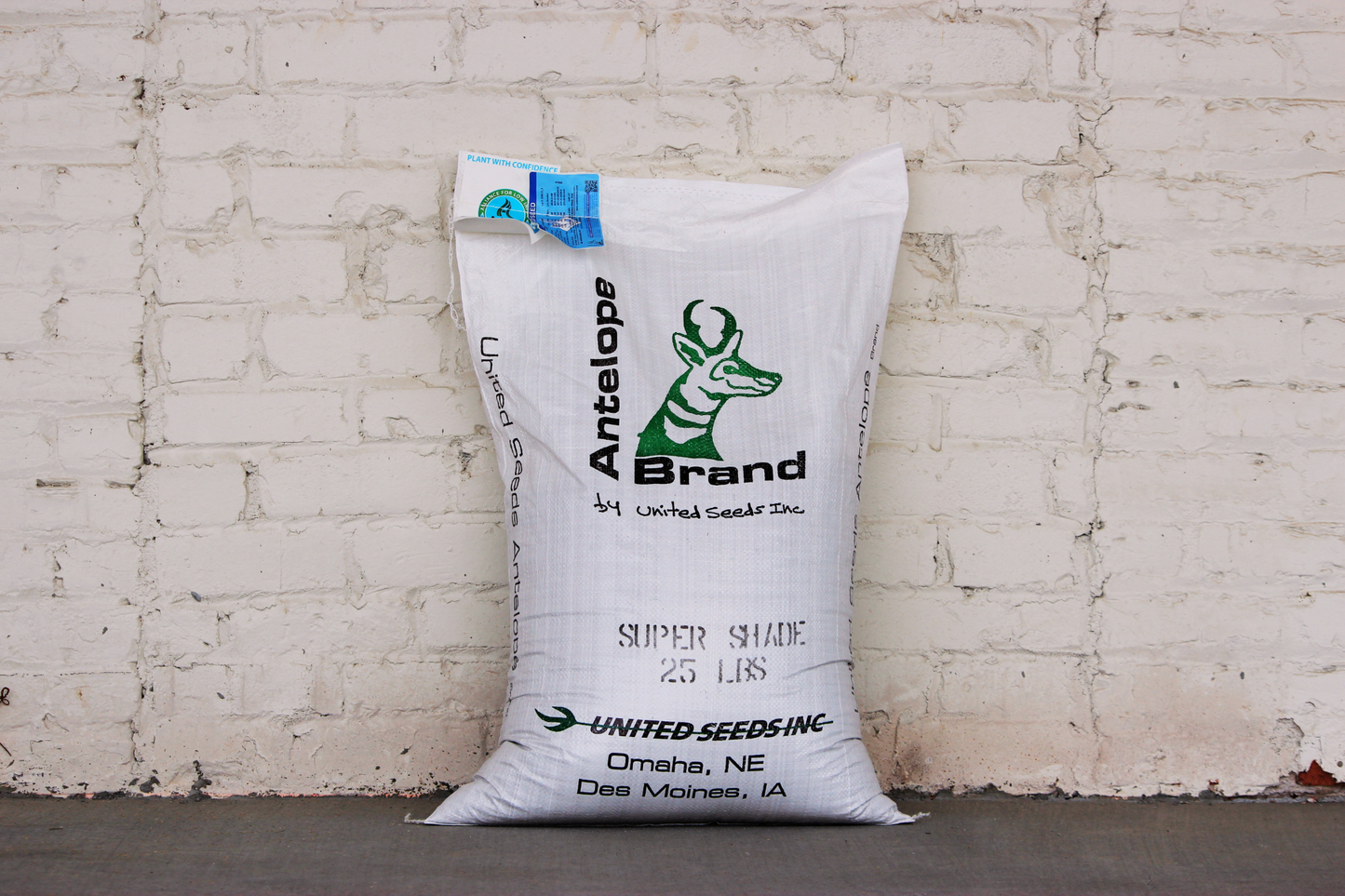 Super Shade Fine Fescue Blend