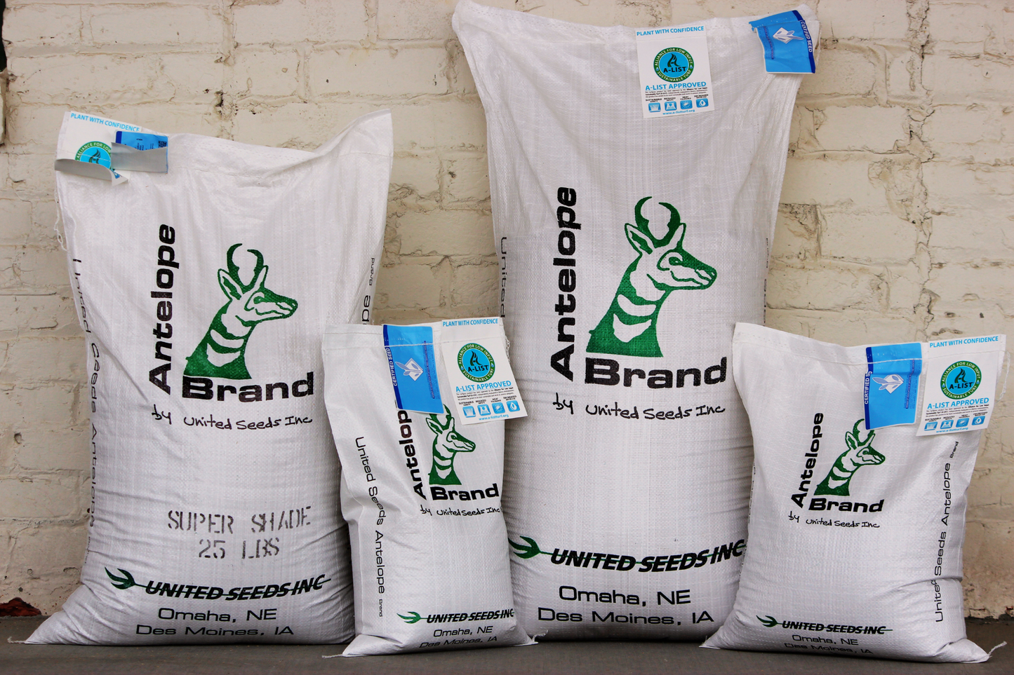 Super Shade Fine Fescue Blend