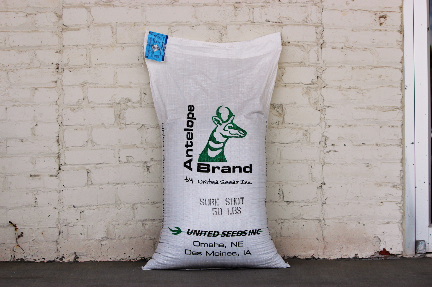 Sure Shot Kentucky Bluegrass Blend