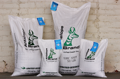 Sure Shot Kentucky Bluegrass Blend