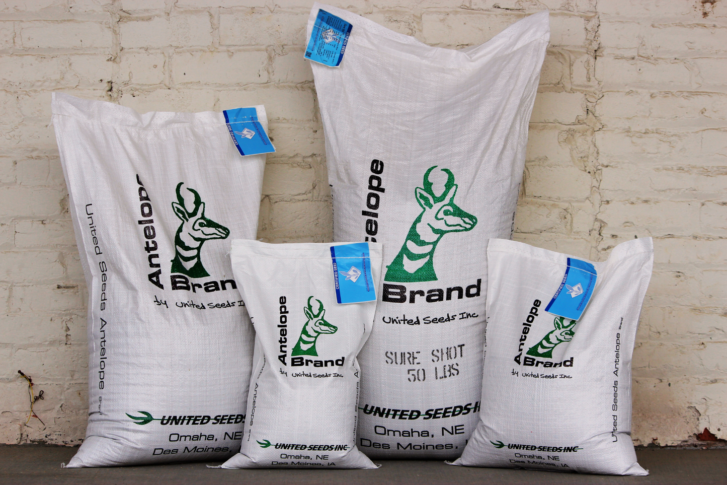 Sure Shot Kentucky Bluegrass Blend